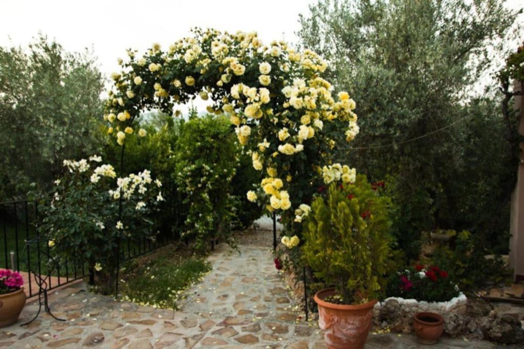 Cazorla-Alcon, Casa Hoya Don Gaspar Pozo Alcon Luaran gambar