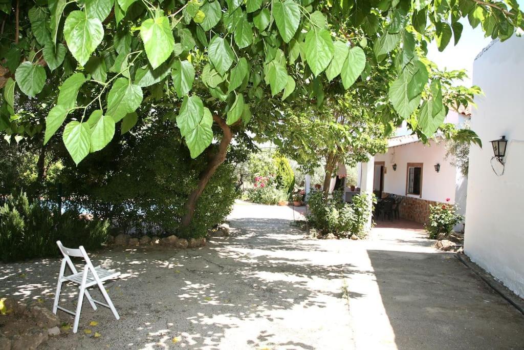 Cazorla-Alcon, Casa Hoya Don Gaspar Pozo Alcon Luaran gambar